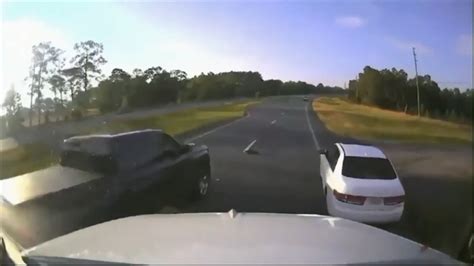Turtle causes semi-truck to hit multiple vehicles stopped on Florida highway